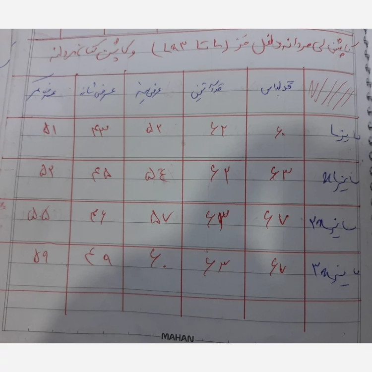 کاپشن لی مردانه داخل خز کار باکیفیت